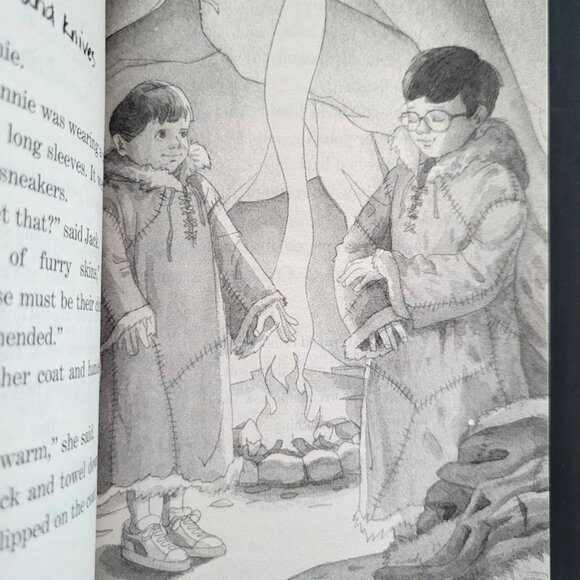 MAGIC TREE HOUSE & MERLIN MISSION LOT OF 20 BOOKS SCHOLASTIC MARY POPE OSBORN - Picture 10 of 13